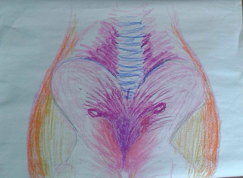 womb-drawing-wombwonders